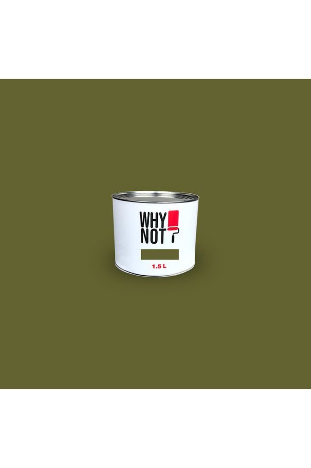 Naptha Green - Yeşil Duvar Boyası - 4