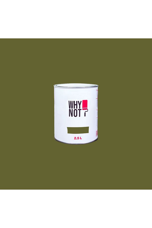 Naptha Green - Yeşil Duvar Boyası - 1