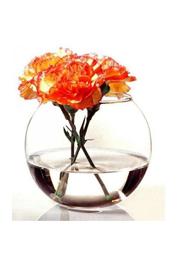 43417 Botanica Vazo - 825 Ml - 1