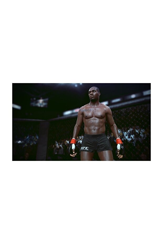 UFC PS4 Oyun - 8