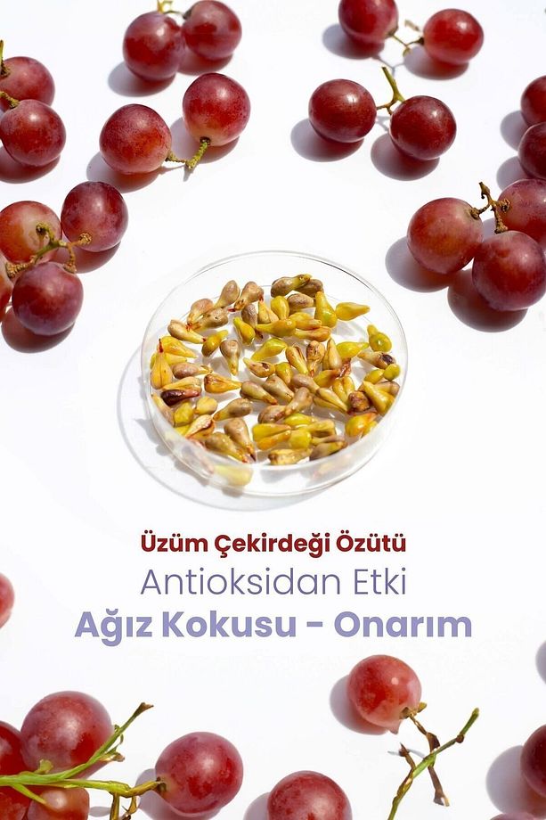 Aktif Probiyotik Doğal Florürsüz Üzüm Çekirdeği Özüt Ilaveli Diş Macunu & Dil Temizleme Aparatı - 5