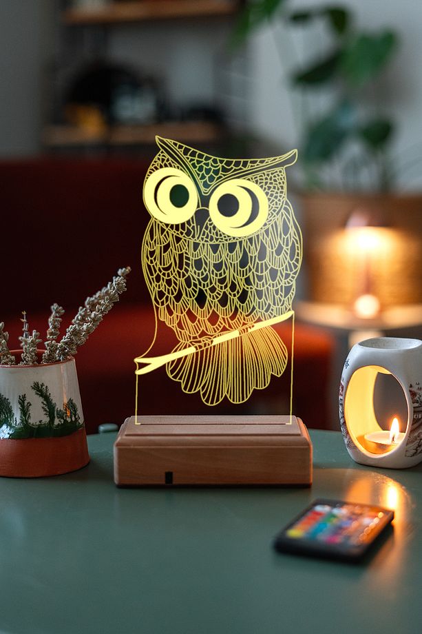 3d Baykuş 16 Renk Gece Lambası - 8