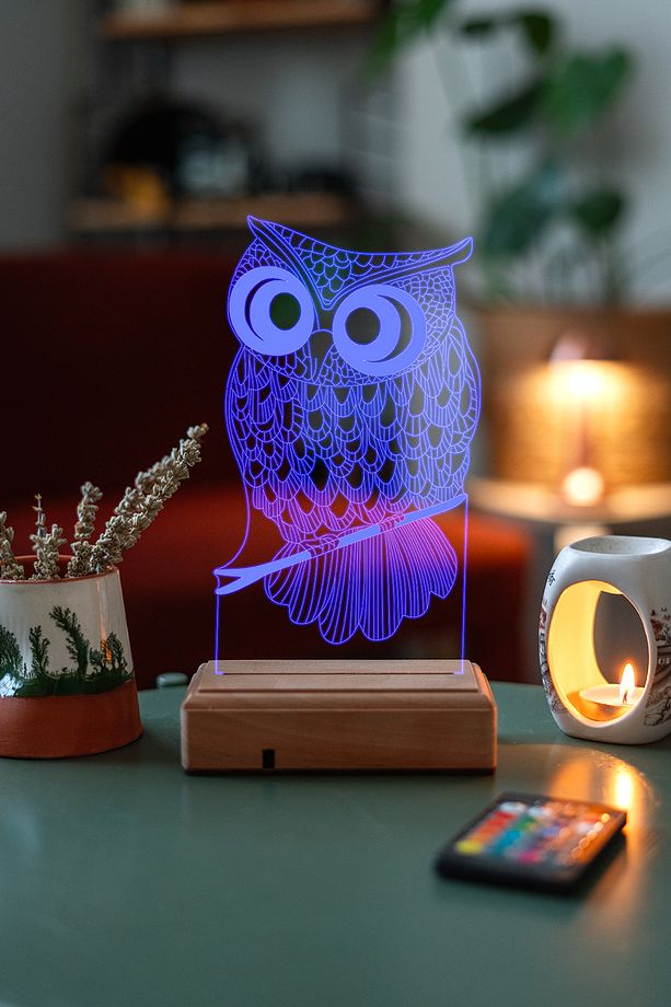 3d Baykuş 16 Renk Gece Lambası - 6