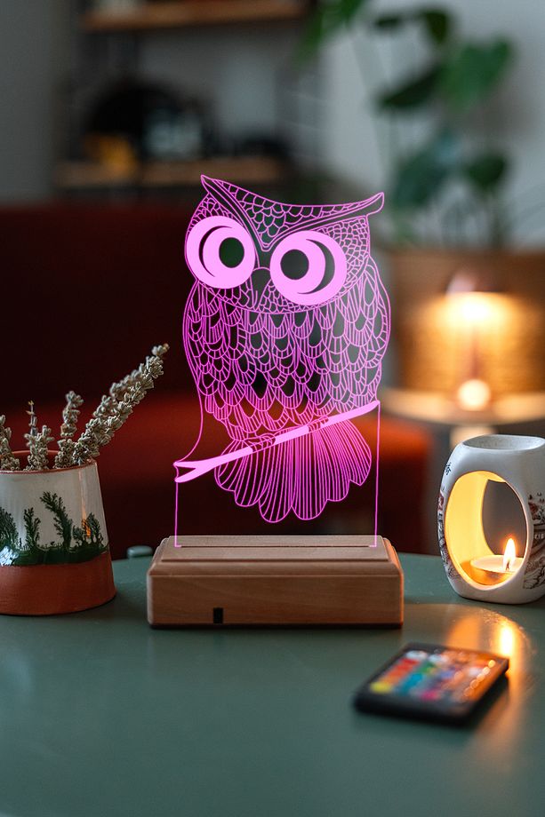 3d Baykuş 16 Renk Gece Lambası - 4
