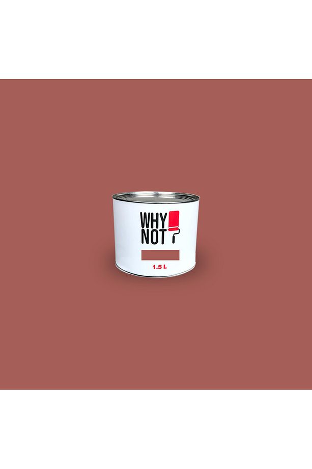 Matte Red - Kırmızı Duvar Boyası - 2