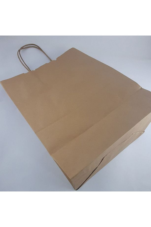 Çanta 25X13X33 - 250 Adet (Kağıt Poşet Çanta) - 2