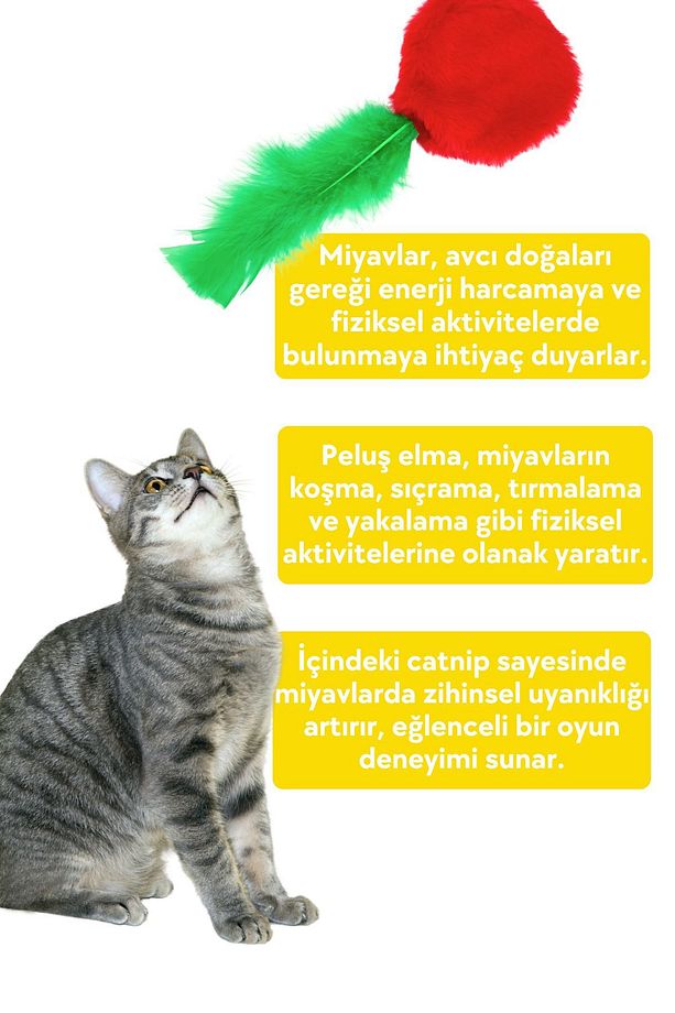 Elma Şeklinde Catnip Cepli Peluş Kedi Oyuncağı 2 Adet Catnip Paketi Dahil - Catnipli Kedi Oyuncağı - 5