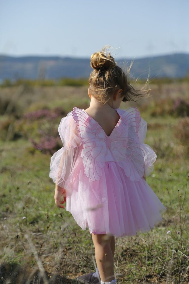 Girl Baby Girl Kids Birthday Party Wedding Dress With Tulle Tutu Lining Children's Clothing baby clothing Elbuznk