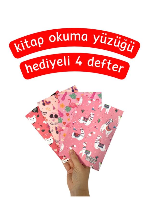 Pembe Renk Figürlü 4'lü Defter Seti