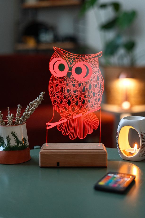 3d Baykuş 16 Renk Gece Lambası - 3