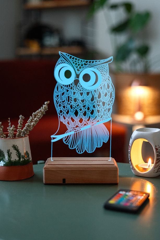 3d Baykuş 16 Renk Gece Lambası - 1