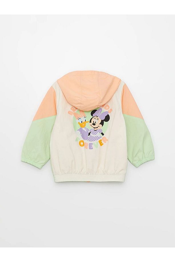 LCW baby Kapüşonlu Uzun Kollu Minnie Mouse ve Daisy Duck Baskılı Kız Bebek Mont - 2