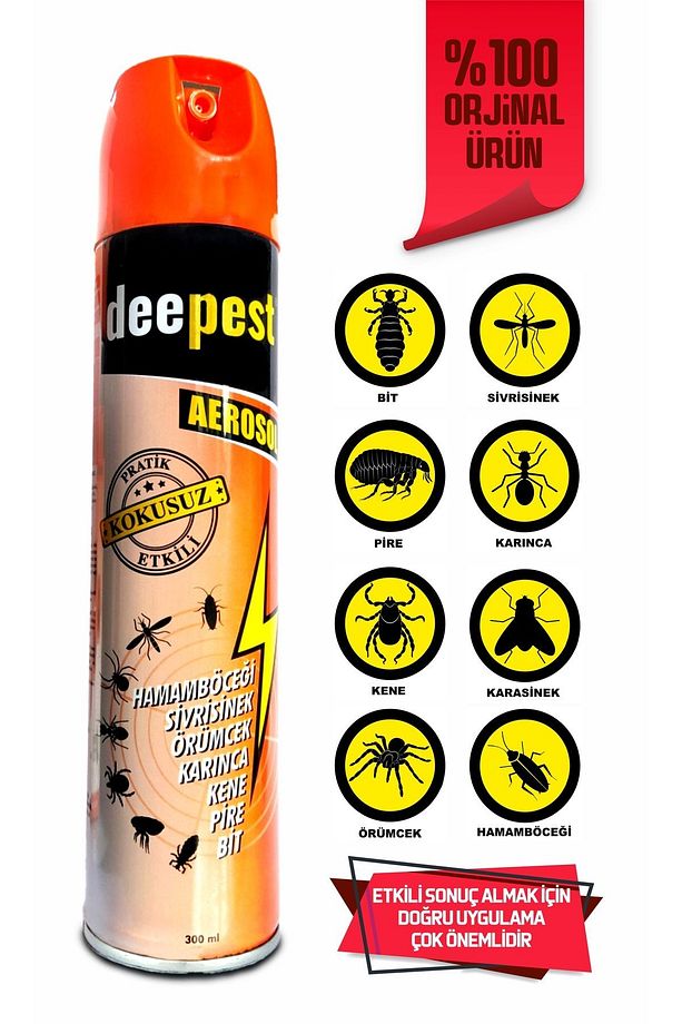 Aerosol 300 Ml Haşere Öldürücü Hamamböceği Sivrisinek Öldürücü - 2