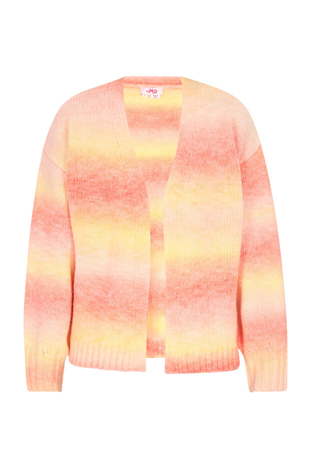cardigan - 2
