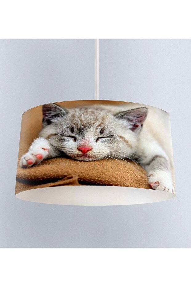 Uyuyan Kedi Desenli Kumaş Salon 3D Sarkıt Avize - 1