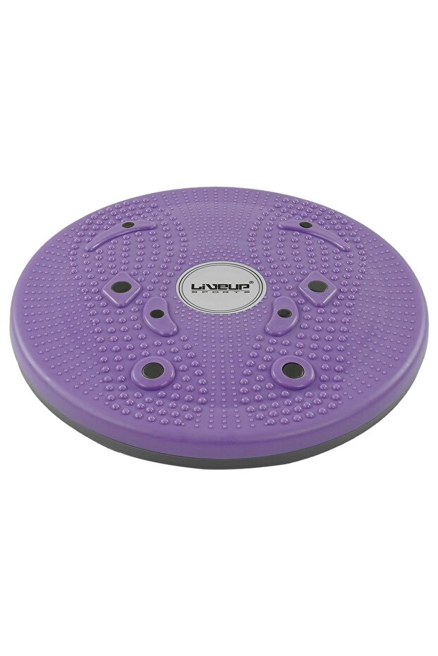 LS3165B Magnetic Disc Twister