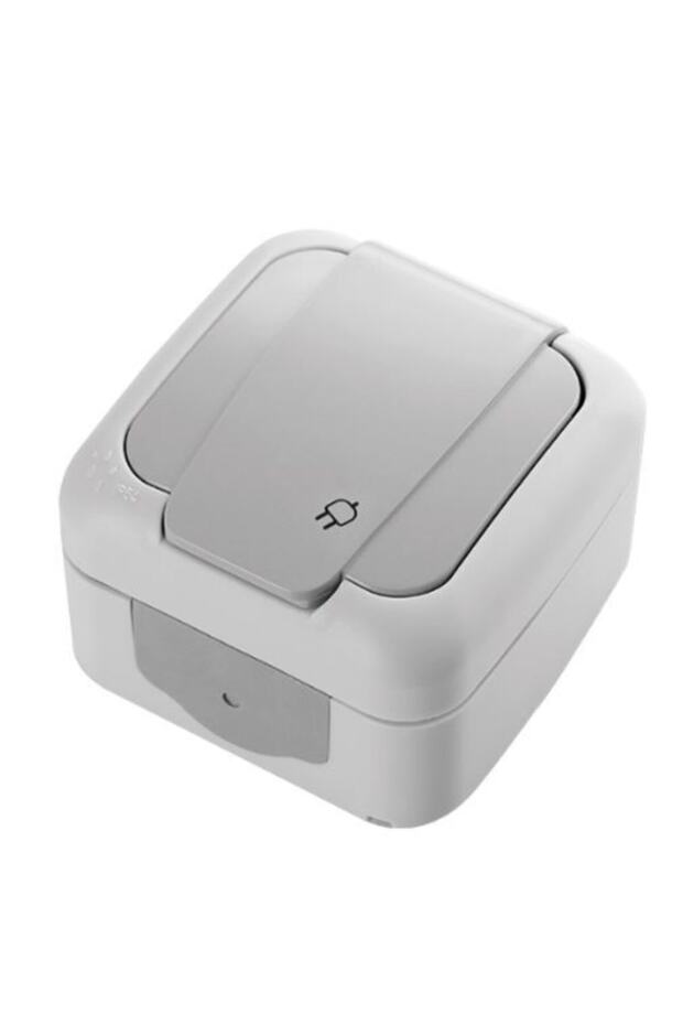 Surface Mounted Grounded Socket Palm - 1