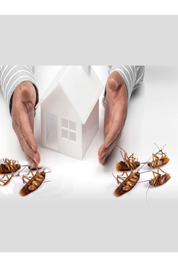 Maxforce Platin 20gr Hamamböceği Jeli - 4