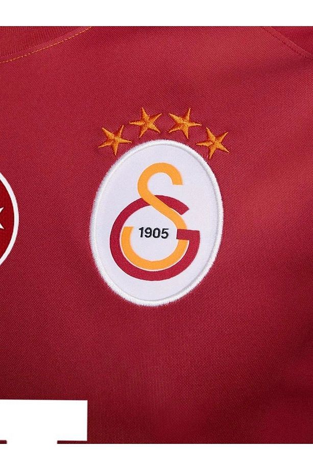 Lisanslı ve Orijinal 2023/2024 İç Saha Parçalı Forma Aslan Ahşap Kutulu - 4
