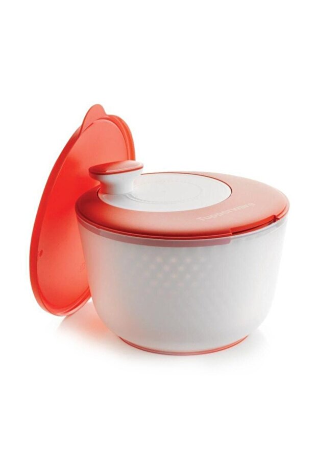 سلطة حديثة - 1