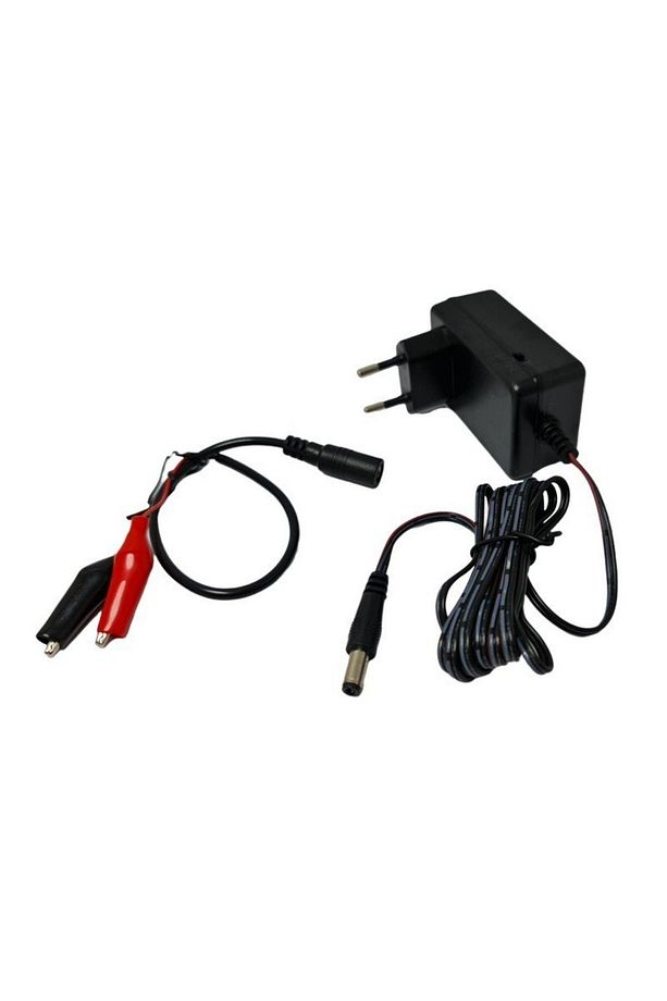 WellPower 6V 1 Amper Akü-Batarya Şarj Adaptörü WP-0601PA - 1