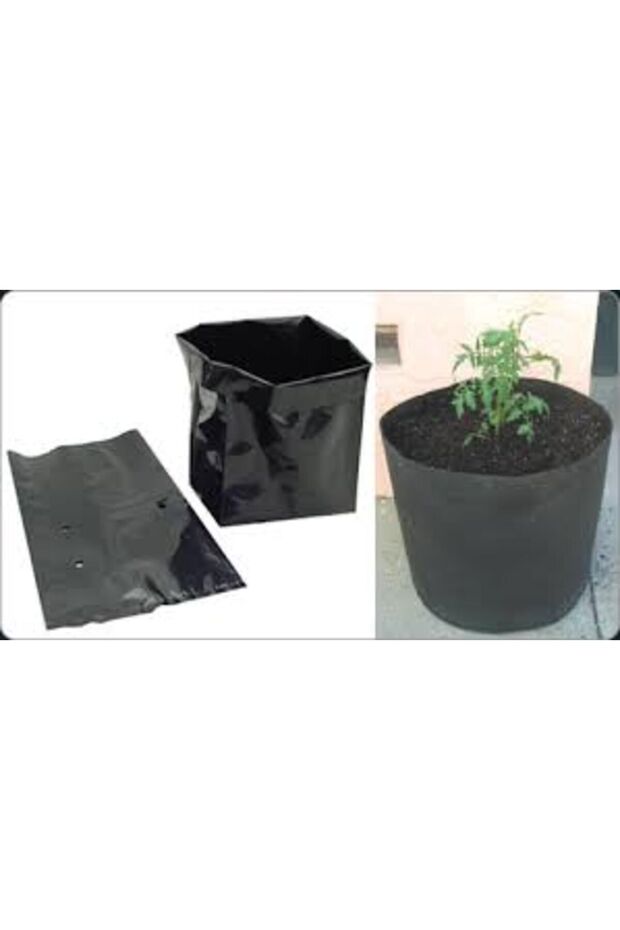 24 *37 cm Sapling Seedling Bag with Bellows and Holes 1 kg