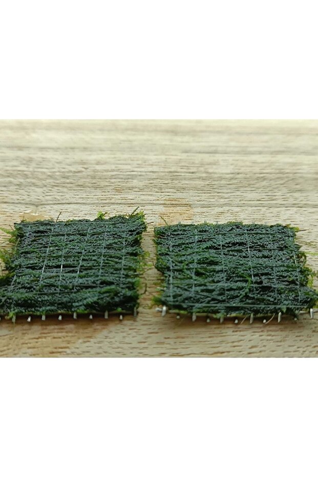2 Adet 5*5 Cm Java Moss Yeni Tele Sarılı - 3