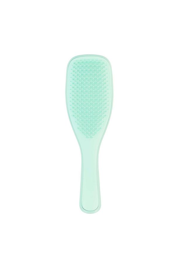 Wet Detangler Fine & Fragile - Jade Lagoon - Mint - 1