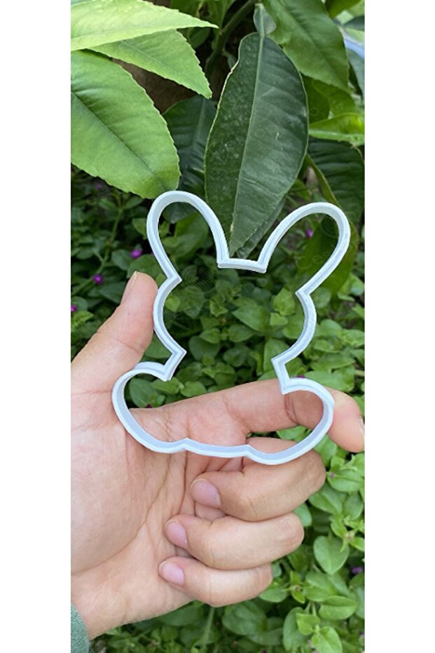 Rabbit Carrot Cookie Mold Set - 2