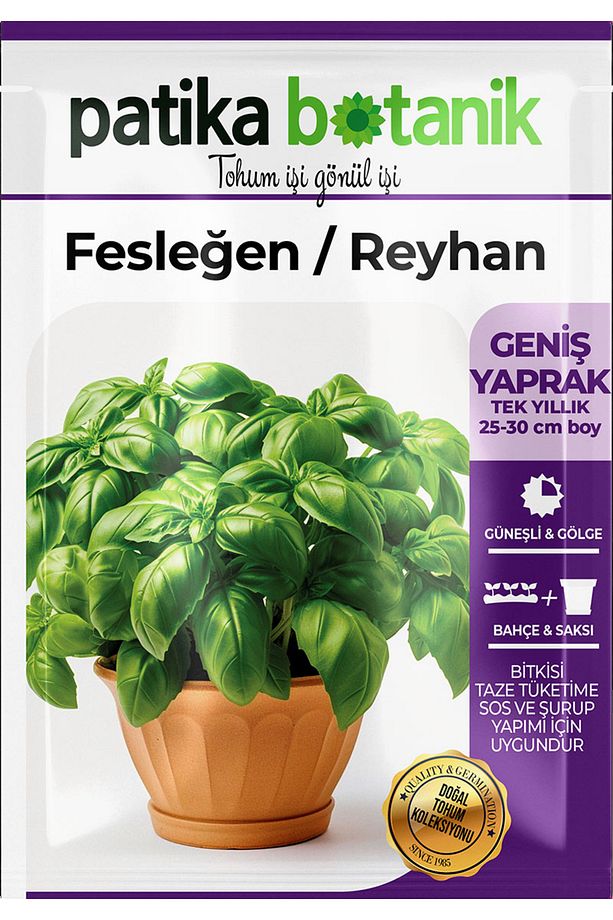 80 Adet Ata Tohumu Yerli Yeşil Fesleğen - Yeşil Reyhan (OCİMUM BASİLİCUM) - 3