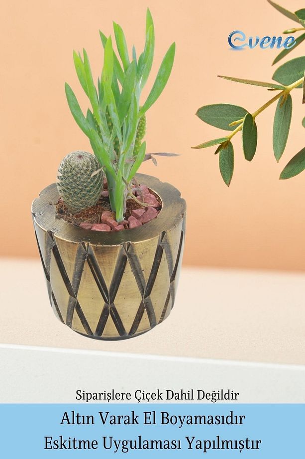 Ahşap Ayaklı Beton Saksı Büyük Boy Set 3 Adet Altın Varak Boyalı Eskitmeli Model 7 - 5