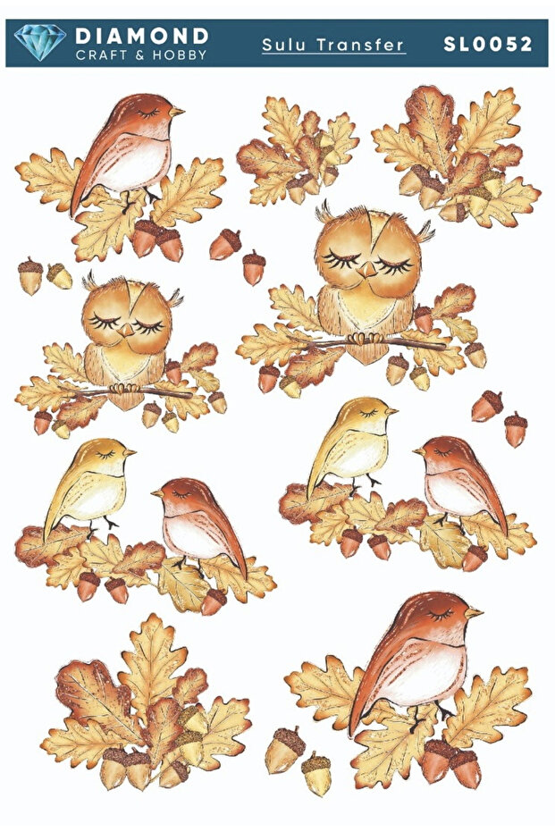 Diamond Water Soluble Transfer Paper Sl0052 25X35Cm - Birds and Owls