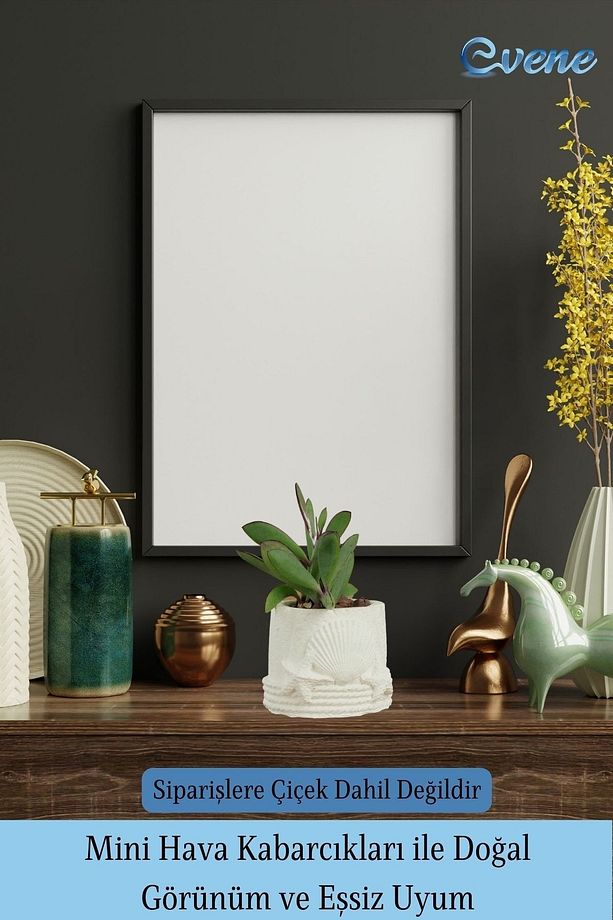 Mini Çiçek Saksı Küçük Sukulent Beyaz Kaktüs Saksısı 3'lü Set Model 5 - 6