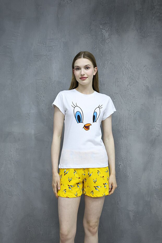 T-shirt and Shorts Printed Pajama Set