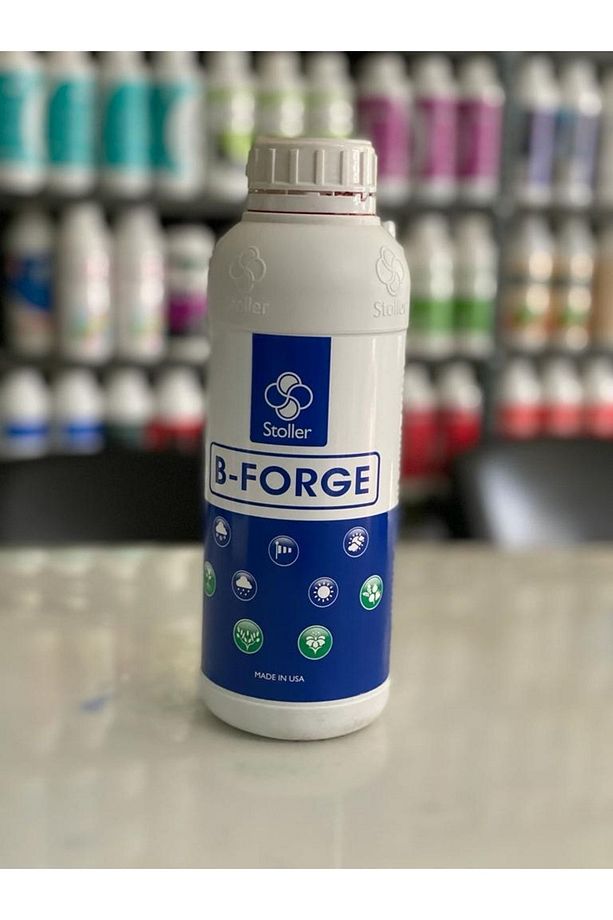 B-forge 1 Lt - 1