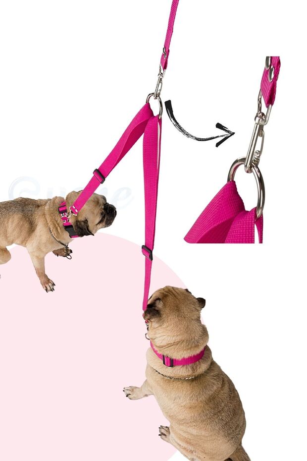 Köpek Gezdirme Tasması Ayarlanabilir Boyun Göğüs Tasma Pembe - 5