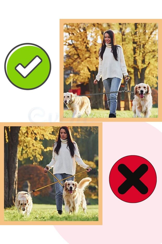 Köpek Gezdirme Tasması Ayarlanabilir Boyun Göğüs Tasma Pembe - 6