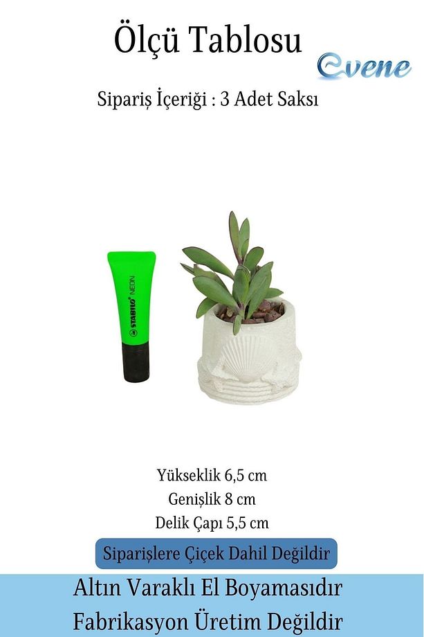 Mini Çiçek Saksı Küçük Sukulent Beyaz Kaktüs Saksısı 3'lü Set Model 5 - 2