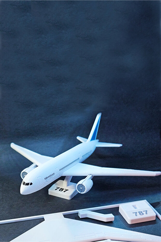 Boeing 787 Dreamliner 3D Printed Card Model - Perfect for Collection and Decoration - 1