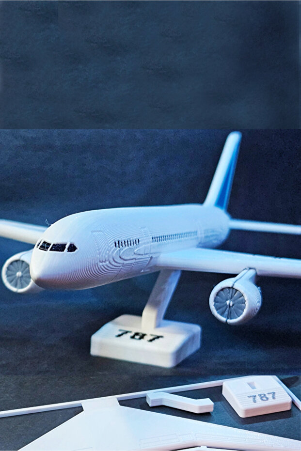 Boeing 787 Dreamliner 3D Printed Card Model - Perfect for Collection and Decoration - 2