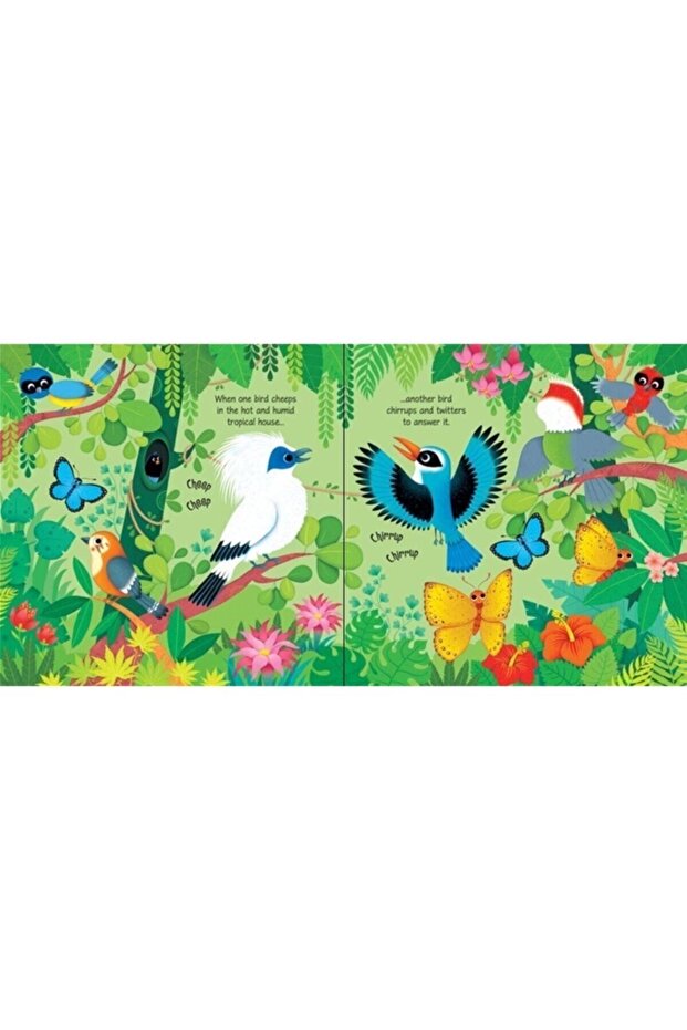 Zoo Sounds - 4