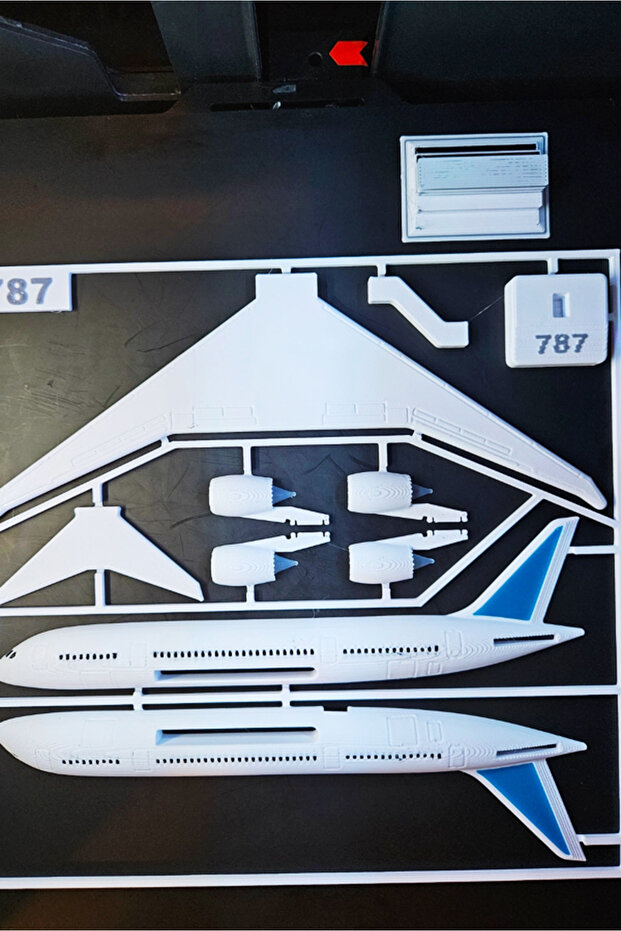 Boeing 787 Dreamliner 3D Printed Card Model - Perfect for Collection and Decoration - 3