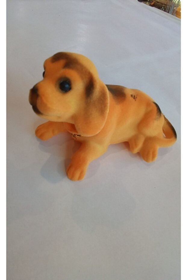 Kafa Sallayan Köpek - 1