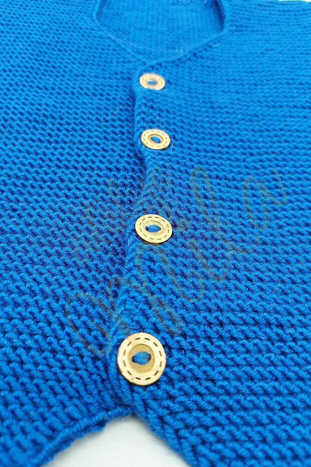 Mavi Efe Yeleği - 2