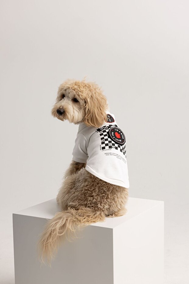 Checkerboard Köpek Sweatshirt