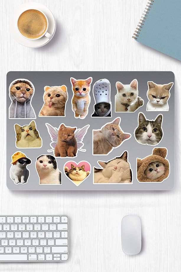 Kedi Temalı Sticker Etiket Seti - Cat Sticker - Laptop Notebook Telefon - 1