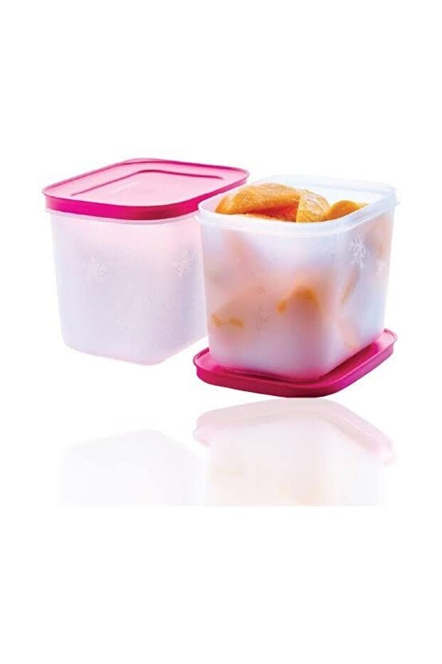 Alaska Series Deep Freezer Storage Container Square Set of 2 - 1