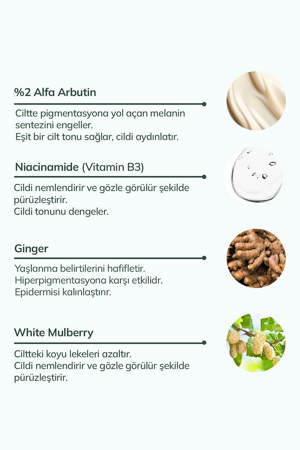 Bio-Ferment Anti-Pigment Essence (%2 Alfa Arbutin + White Mulberry) - 100 ML - 3