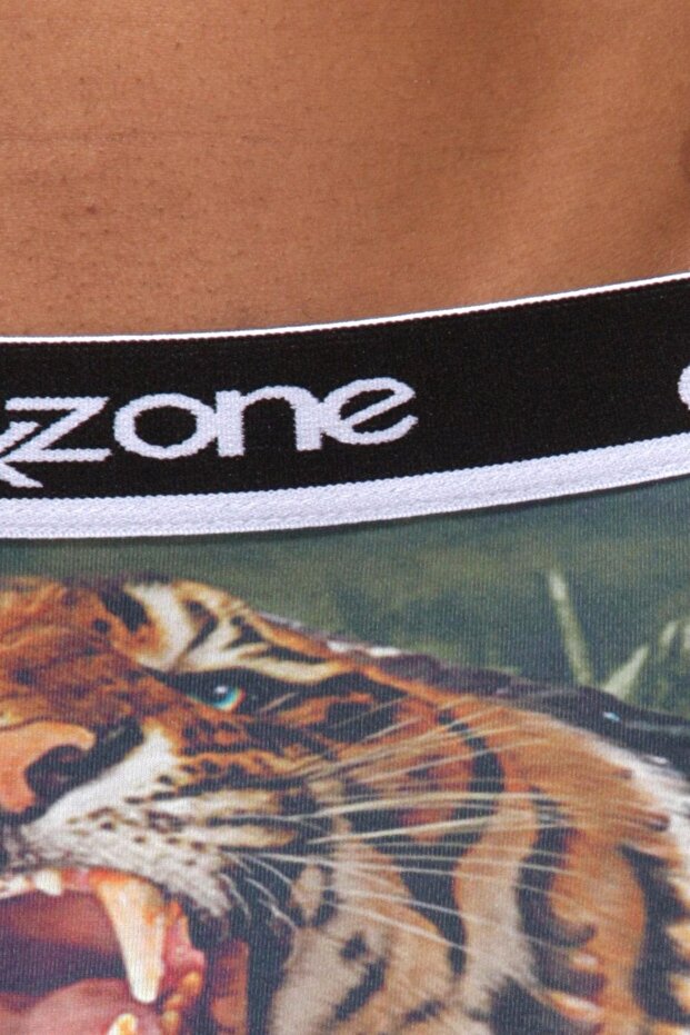 Erkek Kaplan Desenli 3d Boxer - 3