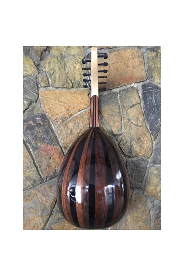 Başlangıç Ud Ceviz Ağacı Eğitimlik Parlak Polyester - 2